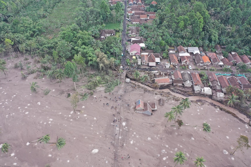 Am aerial photo shows houses and trucks covered by ash following a volcanic eruption, with trees emerging in the background.