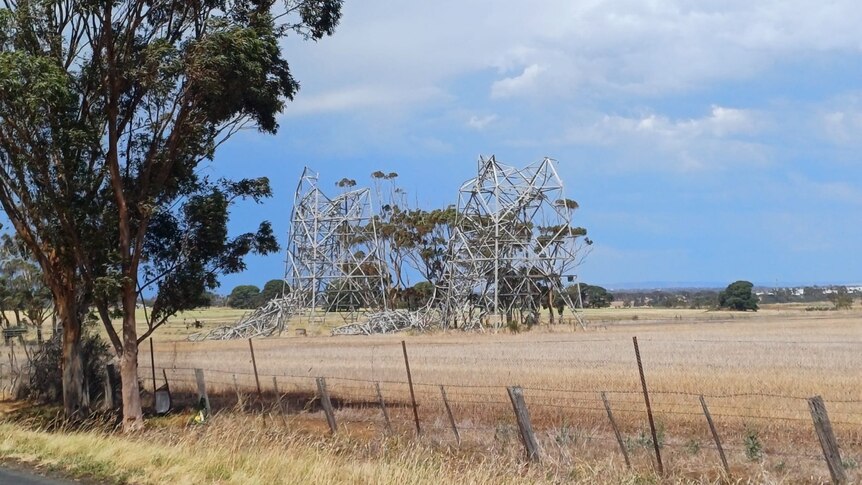 Collapsed transmission towers in a field.