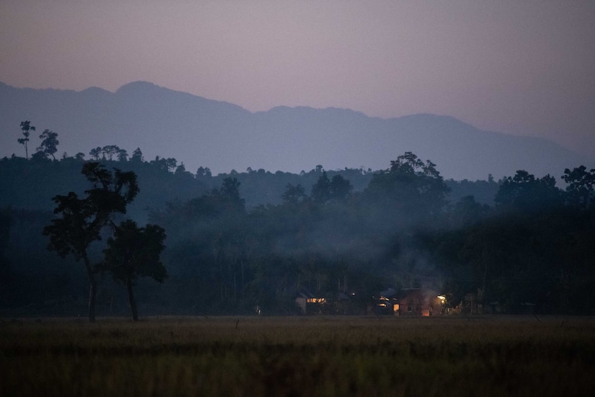 A farm in Assam after nightfall.