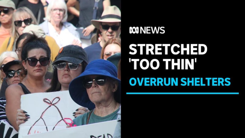 Stretched 'Too Thin', Overrun Shelters: Women stand together at a protest march.