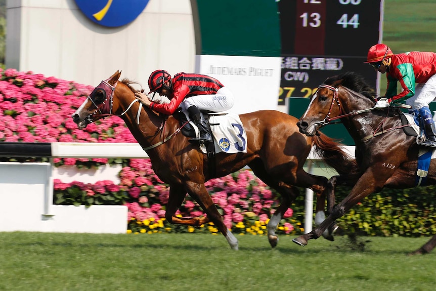 Eagle Way, with Joao Moreira on board.