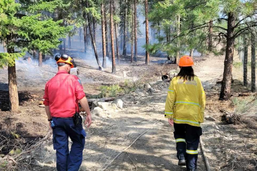 Two firefighters walking through bushland with their backs to the camera