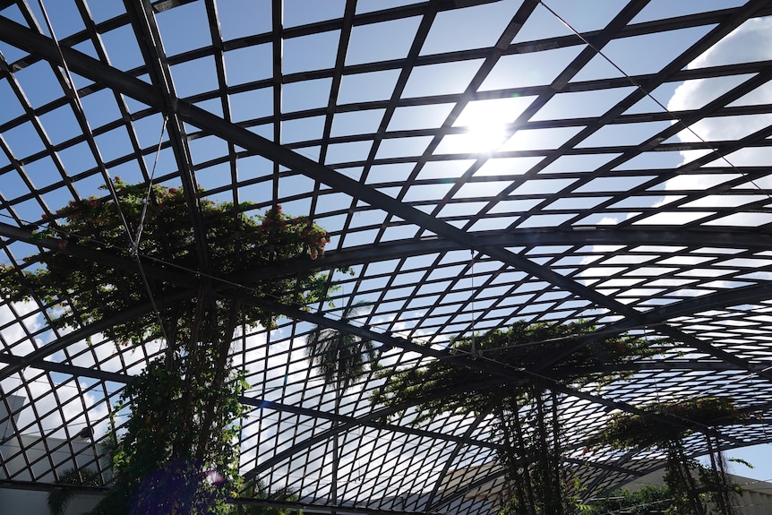 A metal canopy with green vines covering a small portion of the canopy with sun shining through