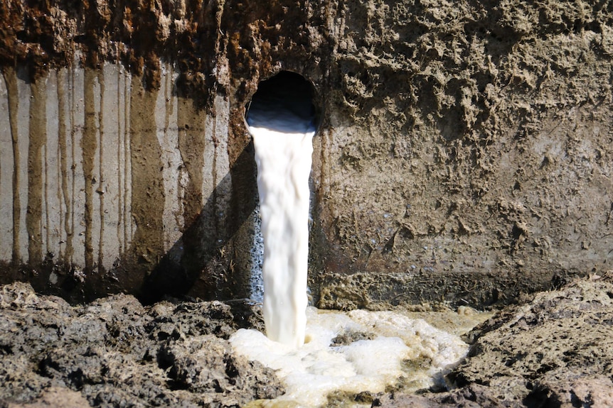 Thousands of litres of milk being released into dairy farmer Graham Manning's effluent pond.