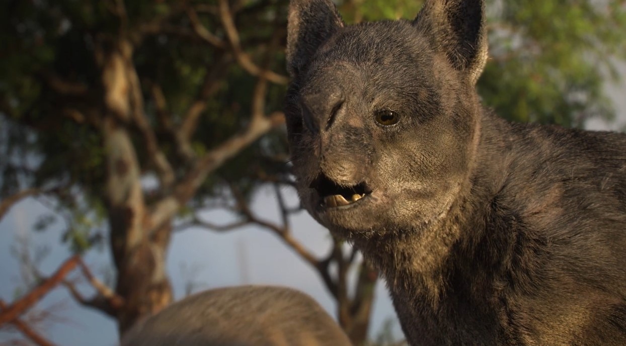 Extinct giant roos could hop, study finds