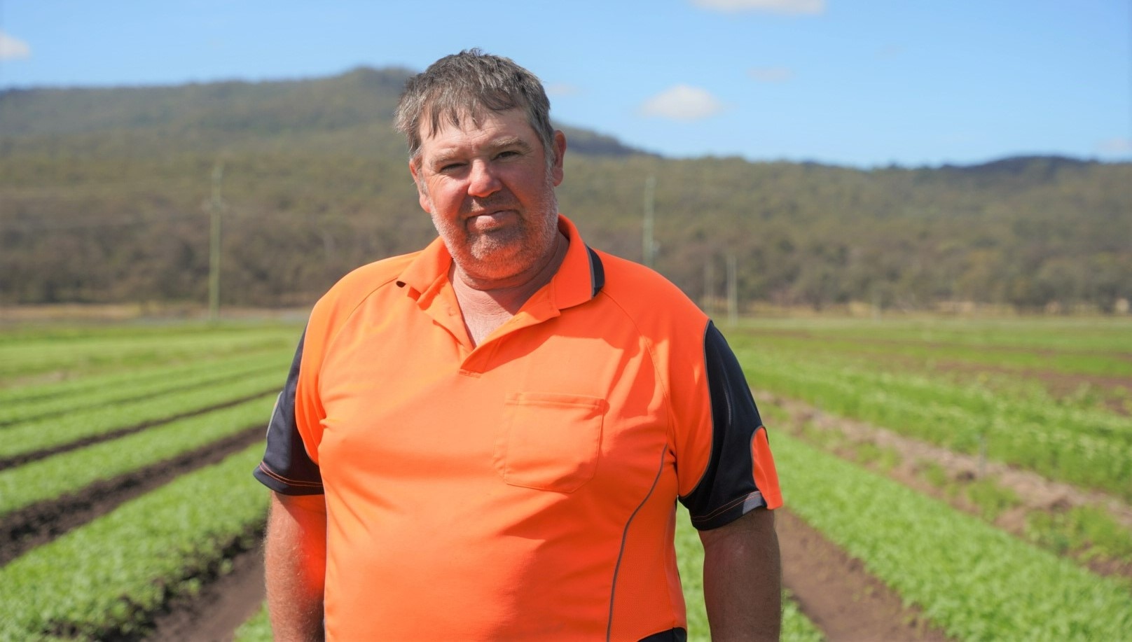 Man in fluro orange shirt stands in front of rows of lettuce. 