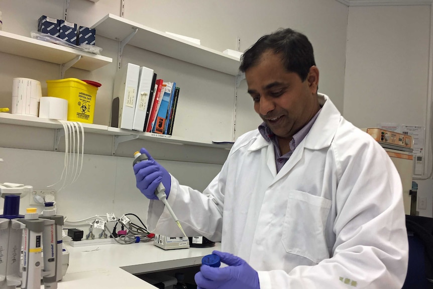 Carp researcher Jawahar Patil in the lab