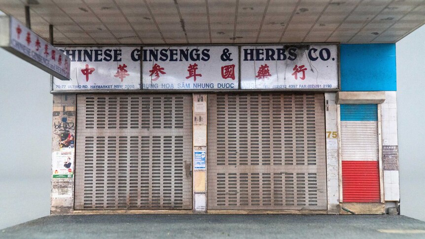 The Chinese Ginsengs & Herbs Co shop, on a scale 1:24.