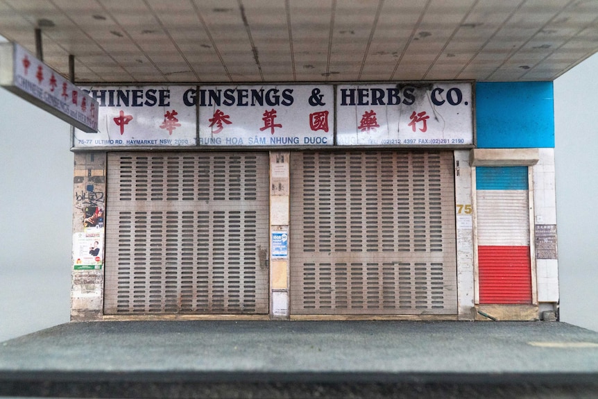 The Chinese Ginsengs & Herbs Co shop, on a scale 1:24.