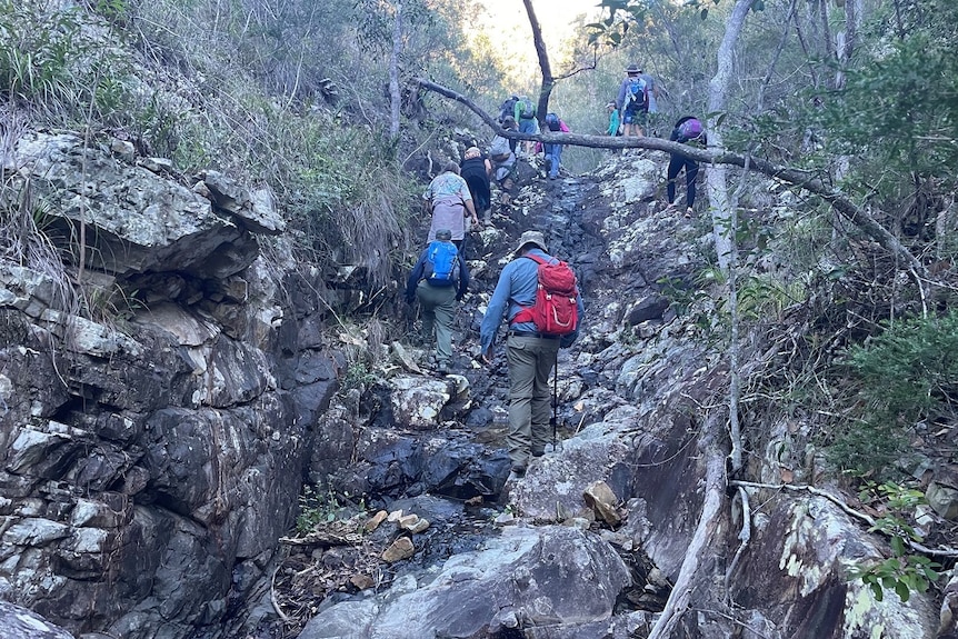 Climbers making their way up a steep, mostly dry waterfall.