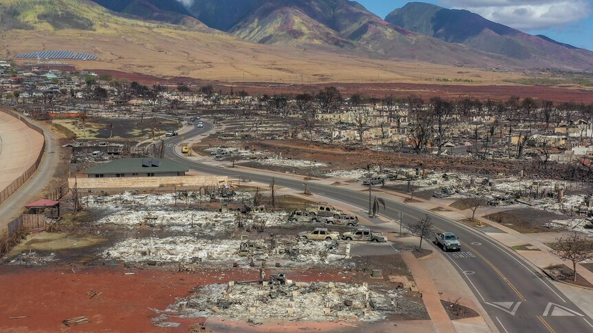 An aerial view of approximately the same area on August 11, 2023. (ABC News: Cameron Schwarz)