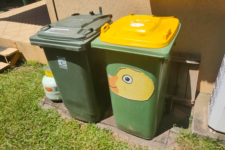 Two wheelie bins beside a small gas bottle, one with a green lid and the other with a yellow lid and a big cartoon duck sticker