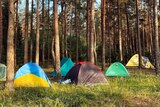 About six colourful camping tents spread out among trees on long grass 