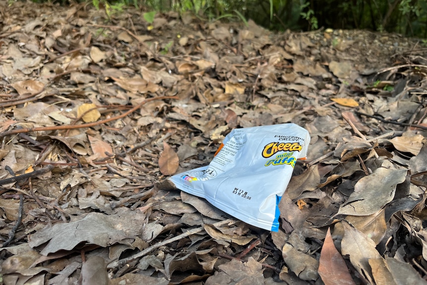 small packet of 'Cheetos' laying amongst leaves and twigs