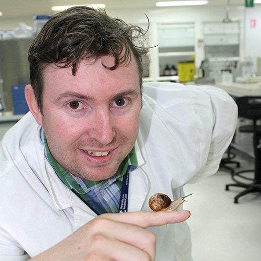 USC's Dr Michael Stewart researches snails' savage sex life