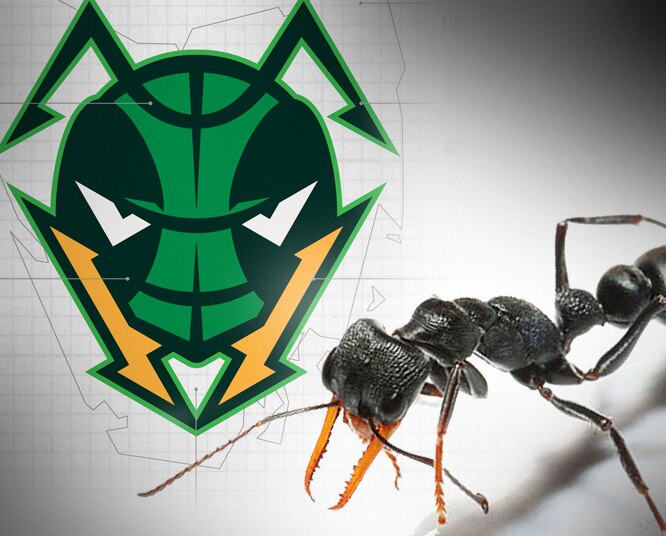 Tasmanian NBL Team Revealed As JackJumpers To Mixed Reception From 
