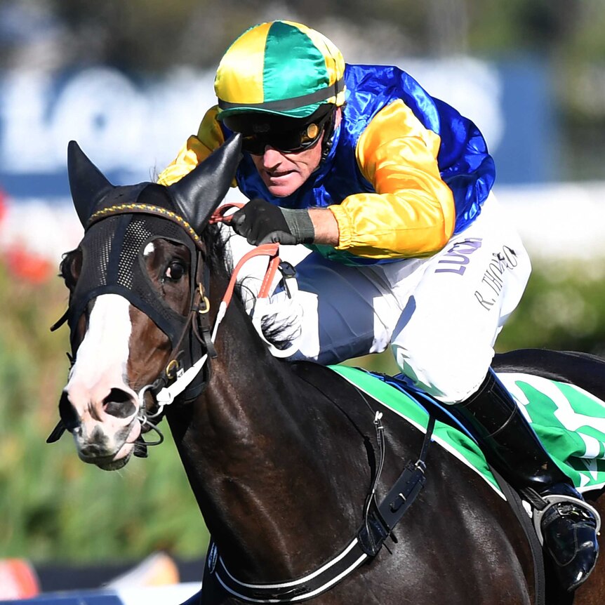 Valree ridden by Robert Thompson wins race 5, TAB Highway Plate race during the Lord Mayor's Cup Day at Rosehill Garden, 2018