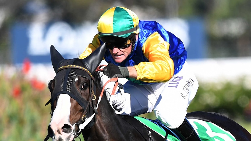 Valree ridden by Robert Thompson wins race 5, TAB Highway Plate race during the Lord Mayor's Cup Day at Rosehill Garden, 2018