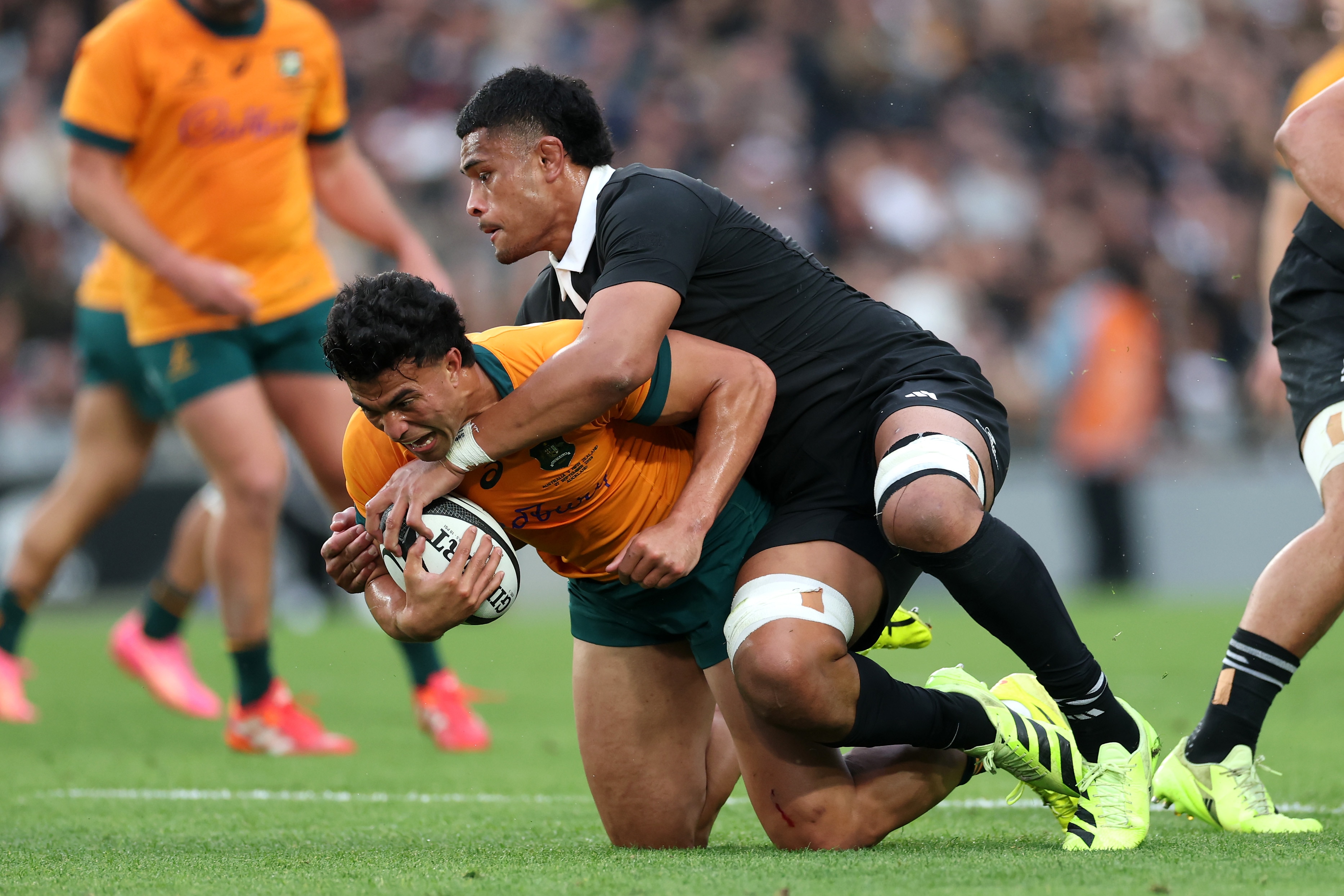 Live: Wallabies desperate to end 40-year hoodoo against All Blacks