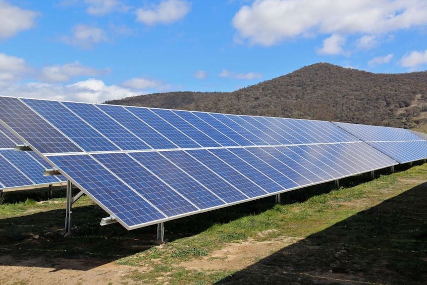 Solar panels in field