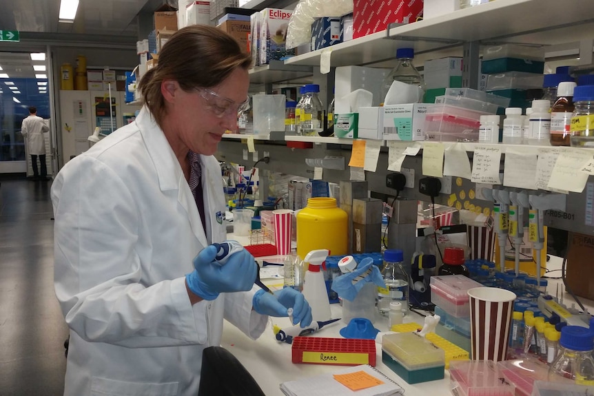 Professor Gabrielle Belz in a medical lab