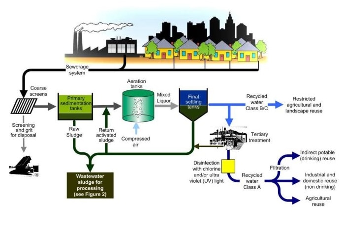 An infographic illustrating how wastewater turns into biosolids