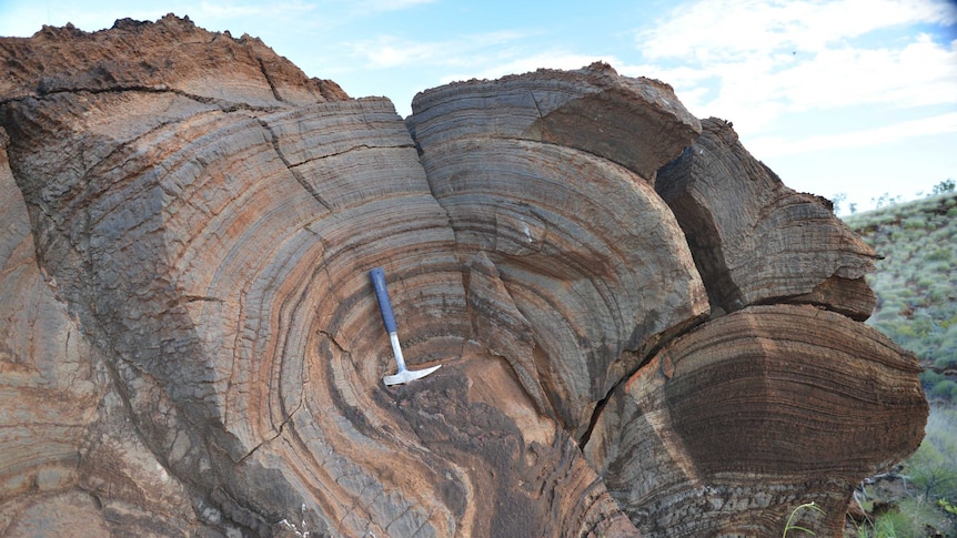The layers on this 2.7 billion-year-old stromatolite from Western Australia show evidence of simple life