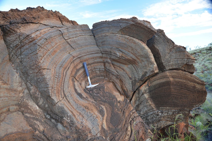 The layers on this 2.7 billion-year-old stromatolite from Western Australia show evidence of simple life