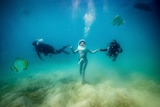 Pop star in scuba gear singing under water surrounded by divers and fish.