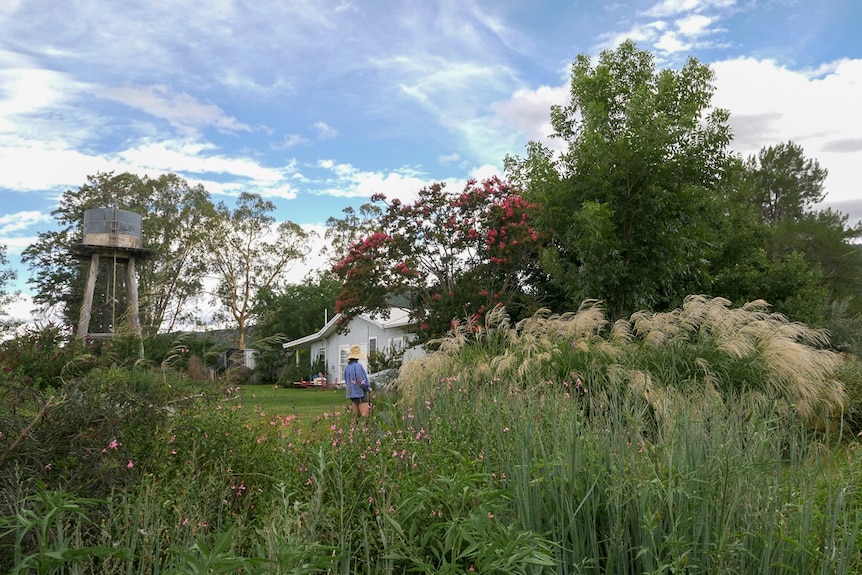 Annabelle Hickson waters her  sprawling country garden with house and tank stand in the background, December 2020.