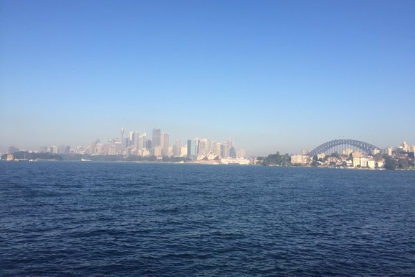 The city of Sydney has been covered in smoke during back-burning.