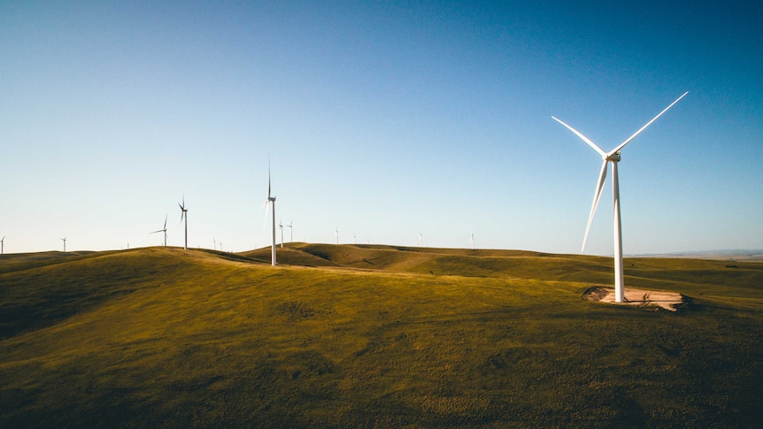 Dozens of wind turbines scattered across the horizon.