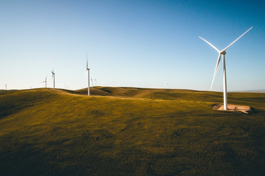 Dozens of wind turbines scattered across the horizon.