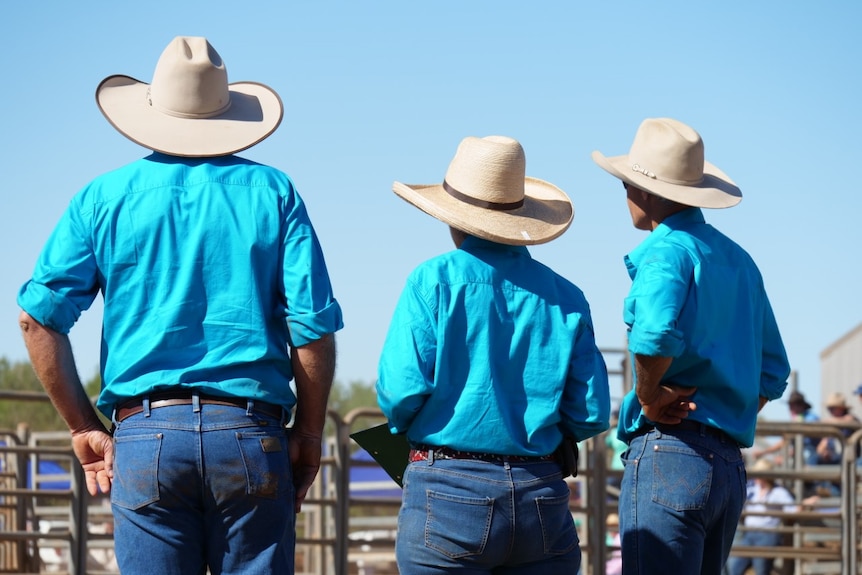Three people in blue shirts and hats facing cattle yards
