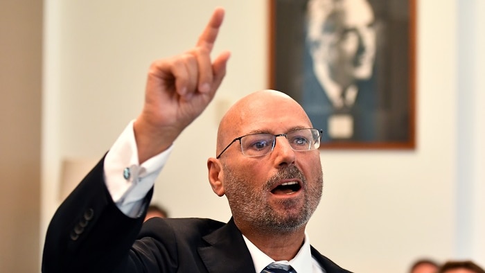 Arthur Sinodinos holds his hand in the air as he speaks with a portrait of Gough Whitlam blurred in the background.