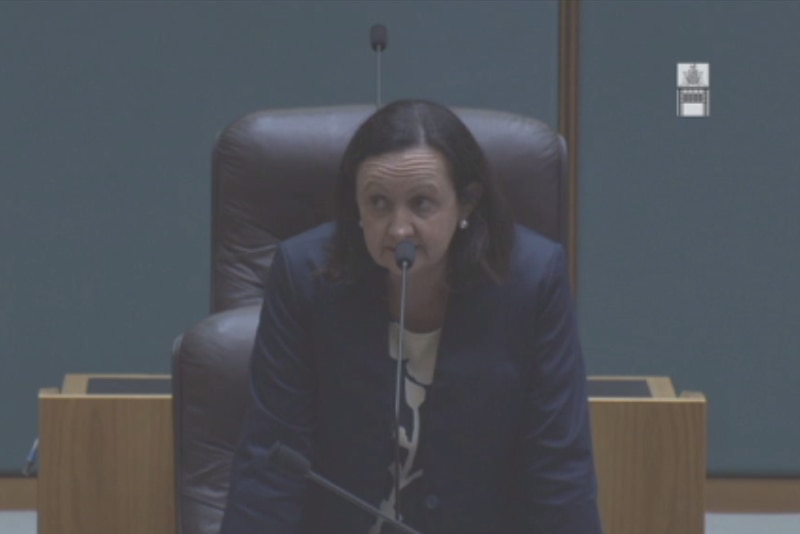 A woman stands at a desk in parliament giving a speech