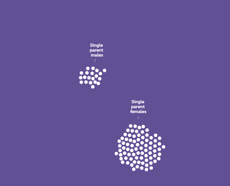 100 white dots in two groups - significantly more dots in the single parent females than single parent males group