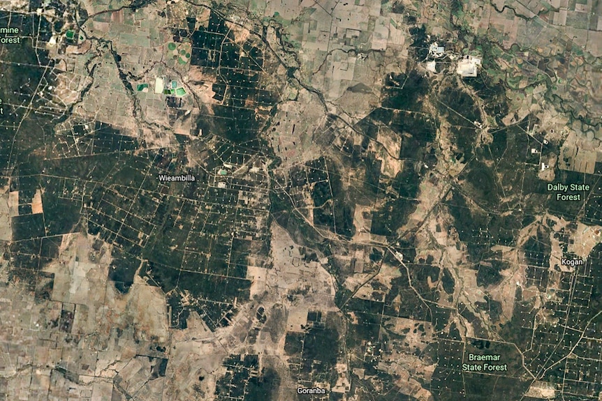 A satellite photo from Google Earth of hundreds of CSG wells near Chinchilla in September 2019.