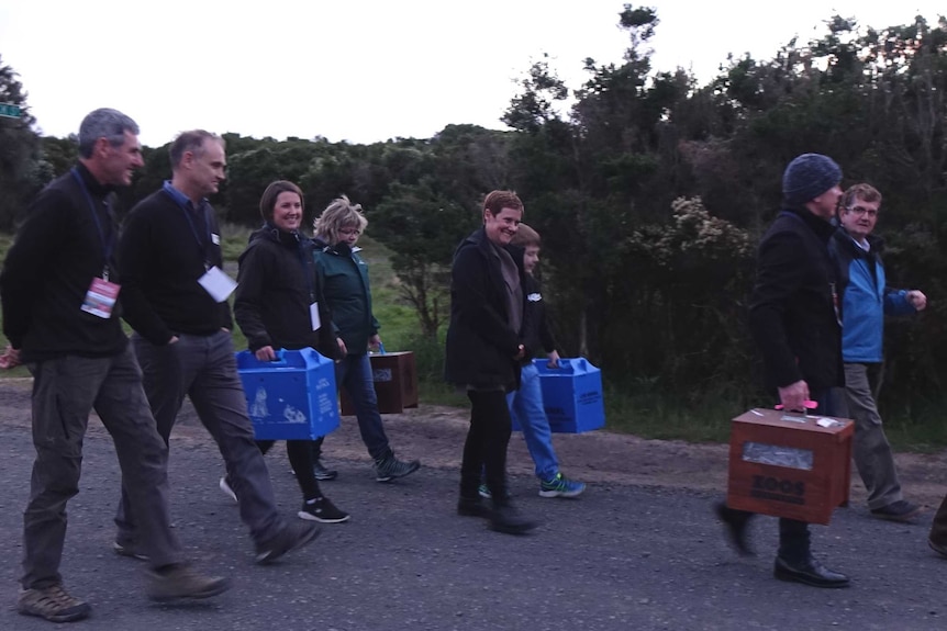 People walking along a pathway surrounded by bushland carrying animal boxes