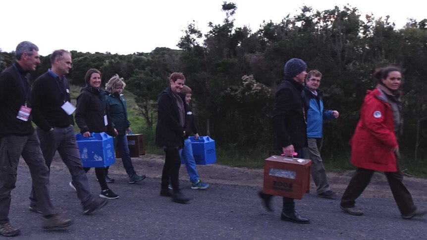 People walking along a pathway surrounded by bushland carrying animal boxes