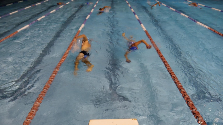 two swimmers passing each other in a swimming lane