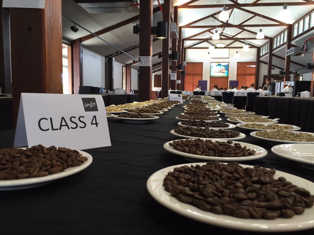 Far north Queensland bean secret to roaster's success at 2016 Sydney