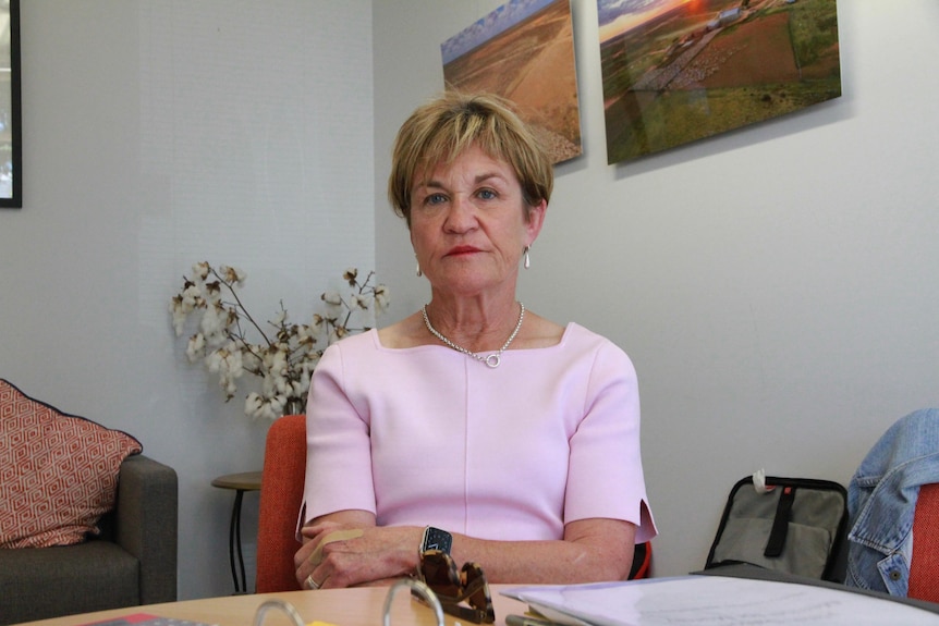 A woman stares seriously into the camera wearing a pink dress in her office.