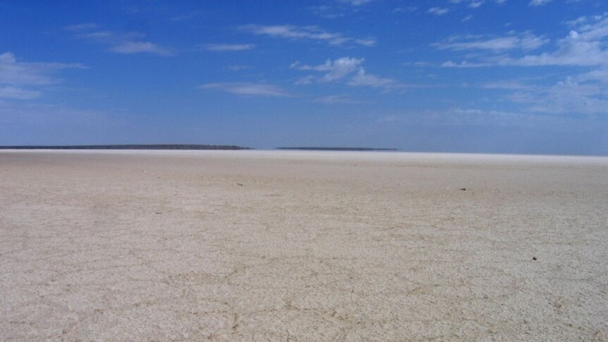 Lake Eyre - home to the lizards