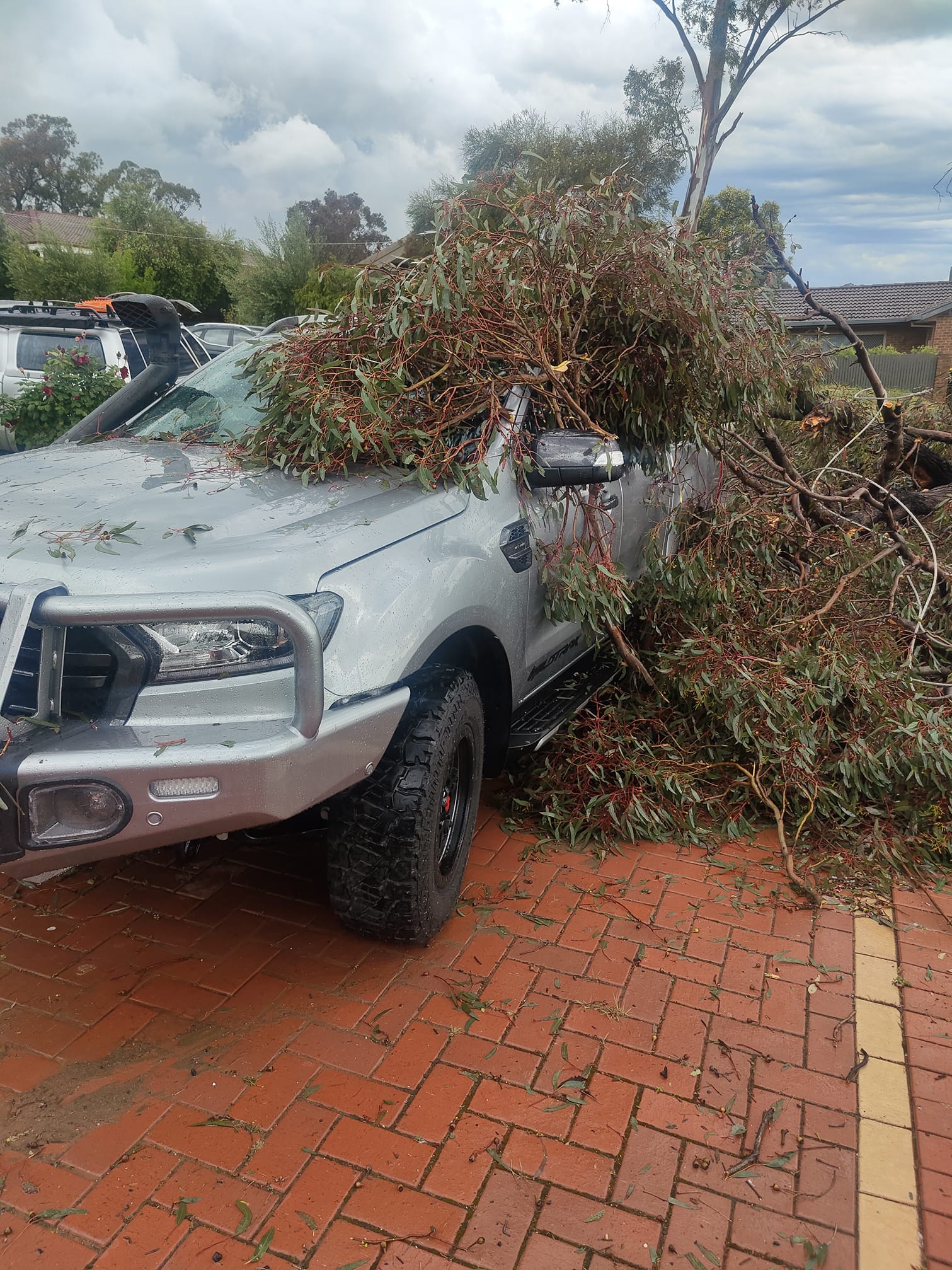 Tree fallen on FWD vehicle