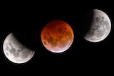 Phases of total lunar eclipse