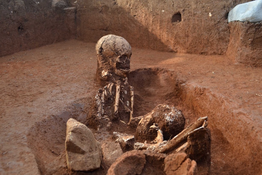 Bones in a grave at the Plain of Jars in Laos.