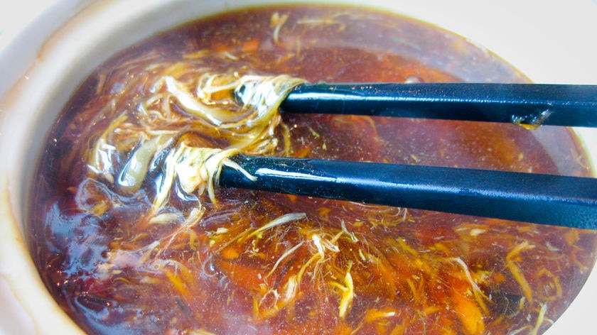 Snake Soup: South Koreans believe the dish enhances virility.