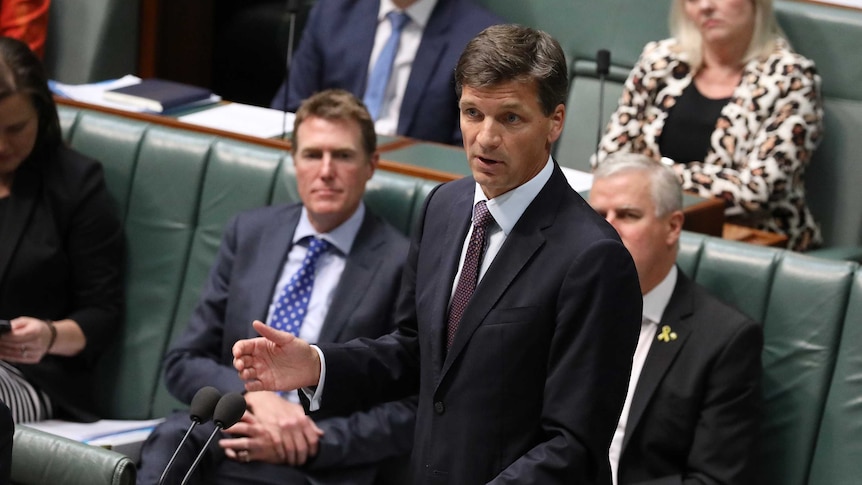 Taylor is in parliament, mid speech, wearing a dark suit.