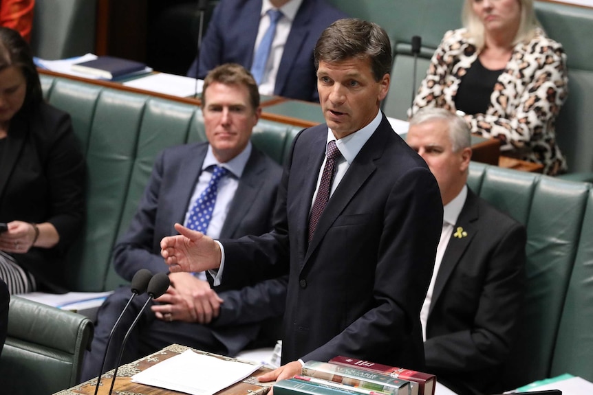 Taylor is in parliament, mid speech, wearing a dark suit.